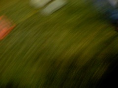 IMG_0023.JPG